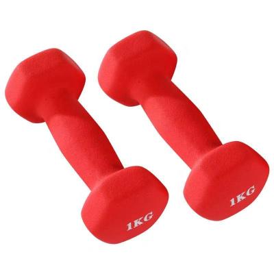 China Muscle Toning Dumbbell Hand Weights Set Of 2, Neoprene Coated Dumbbell For Home Gym Equipment Workouts, Non-Slip, Anti-Rolling, Color Coded for sale