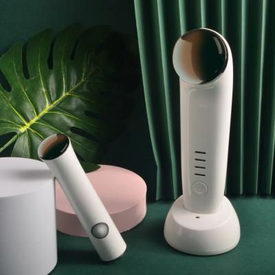 China Anti-Puffiness Led Professional Home Use Usb Skin Face Eye Care Beauty Microcurrent Facial Filling Device for sale