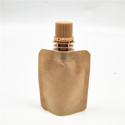 China Biodegradable Liquid Drink Pouches Liquid Spout Paper Packaging Plastic Bag Holder Up Spout Bag for sale