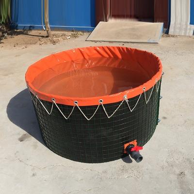 China Easy Assembly Wholesale Customized 5000liter Plastic Water Tank Fishing Pond Pond For Fish Farming Tank Fish Container Growing Tank for sale