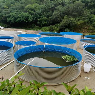 China Easy Collapsible PVC Assembly Fabric Waterproof Circular Fish Pond Cultivation System Economical Fish And Shrimp Pond for sale