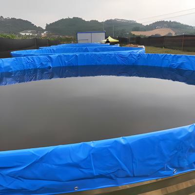 China Easy Assembly Wholesale Customized Collapsible PVC Waterproof Circular Fish Pond Fabric Culture System Fish And Shrimp Pond for sale