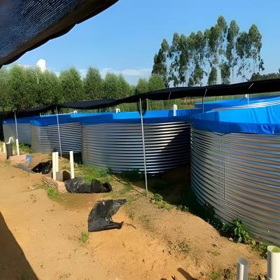 China Cheapest Easy Assembly Folding PVC Fabric Waterproof Fish Pond Recycling Aquaculture System Fish and Shrimp Pond for sale