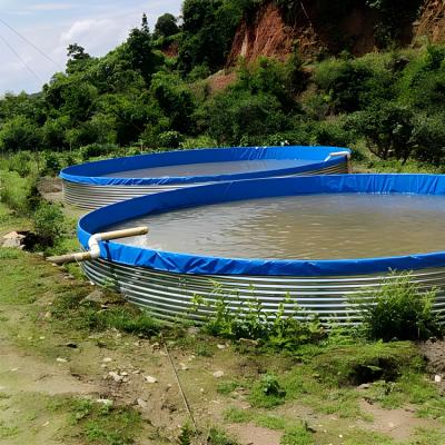 China Easy Assembly 1000L~50000L Durable Foldable Portable Fish Farming Aquaculture Around Tank Pond Plant Customized for sale