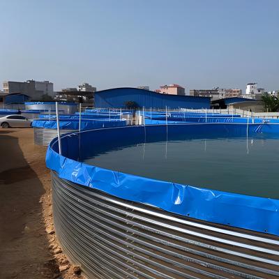 China Wholesale Easy Assembly Factory Aquaculture System Fish Farm Recycling Tank For Indoor And Outdoor Fish Farm for sale