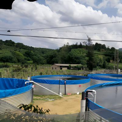 China Easy Assembly Cheap Wholesale Price Agricultural Equipment 5000l Fish Pond Plastic Round Form Fish Farm Tank for sale