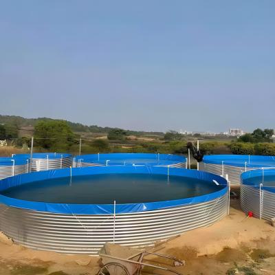 China Easy Assembly Customized Aquaculture Water Treatment Equipment For Aquaculture Indoor Intensive Recirculation Systems Of Fish Farming Tanks for sale