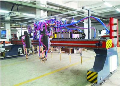 China CNC5-5000X14000 Gantry Type Multi-head Strip Flame and Plasma Cutting Machine 9+1+1 for sale