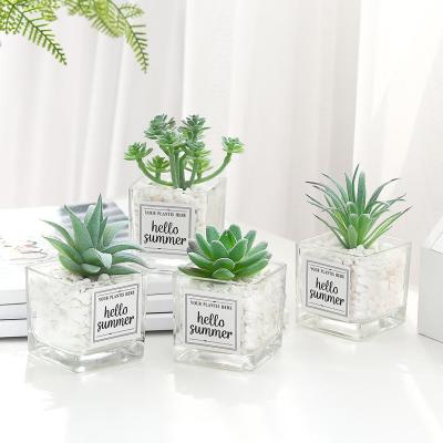 China Wedding 2022 Popular Succulent Decoration Potted Plant /Home Decoration Amazon Simulation Green Succulent Plants Potted Plants for sale