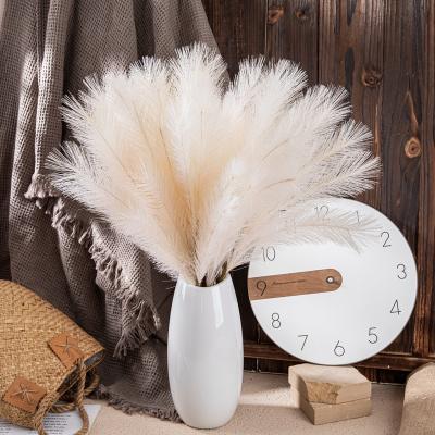 China Wedding Pampas Grass /Home Decoration Home Decoration INS Simulation Flower Wedding Fake Flower Wholesale Reed Pampas for sale