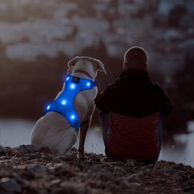 China 2022 Wholesale Custom Led Night Safety USB Dog Harness Adjustable Custom Large Stocked Led Harness for sale