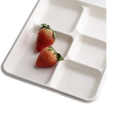 China 100% Biodegradable Disposable Sugar Cane Pulp Party Dish Set Food EC-Friendly Tray for sale