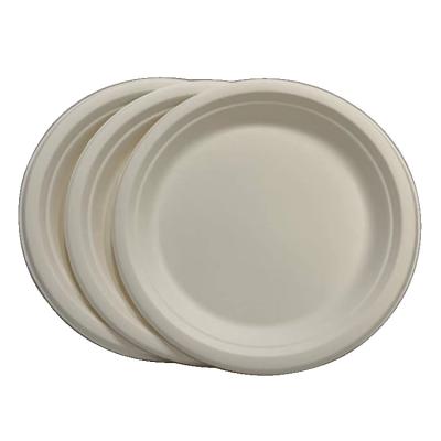 China Disposable Bagasse Square Dish Tableware Eco - Friendly Housewares for sale