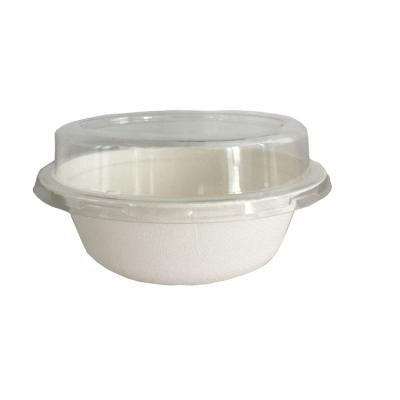 China Disposable PET Lid Sugarcane Bagasse Bowls / Biodegradable Disposable Container / Cup Tableware for sale