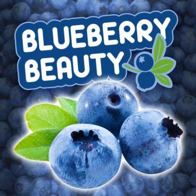 China Blueberry Fruit Flavor for E Vape LiquidE-Juice Flavour High Quality Double Dragon Fruit for Cig Vape Juice for sale