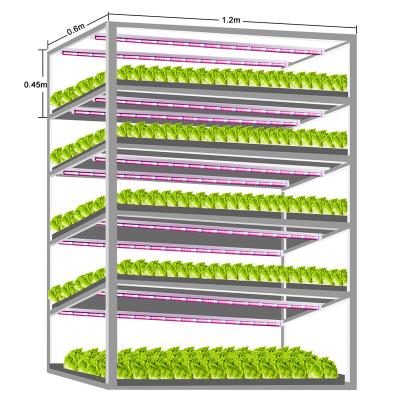 China Seed Starting EU US UK Plug Switch Cables Standard Vertical Grow Support Full Spectrum T8 Plant Grow Light Tube for sale