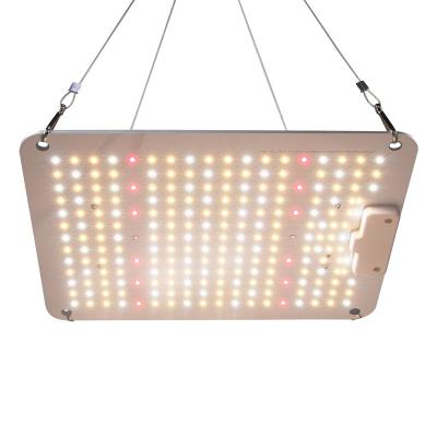 China Seed Starting Garden Greenhouse 660nm IR760nm Full Spectrum 3 Year Warranty 110w UV Waterproof ip65 Led To Grow Light For Indoor Plants for sale