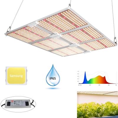 China Dimming Control LM301B Dimming Daisy Chain Commercial Full Spectrum Grow Light Spider S7000 LED Grow Lights For 6x6ft Coverage for sale