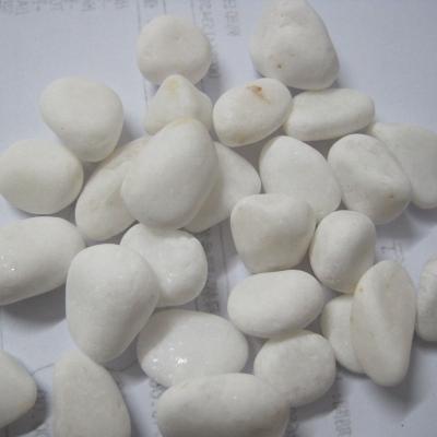 China Farmhouse tumbled snow pebble garden pebble price best decor white white pebble for sale