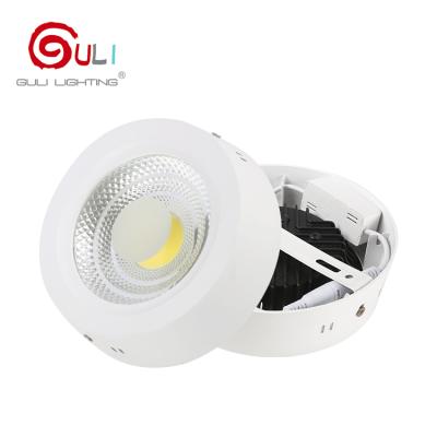 China Private Mold Hot Sale Galleries Patented Bars Lighting Outdoor Mounted Cob 12watt 18watt 25watt 30watt Led Downlight for sale