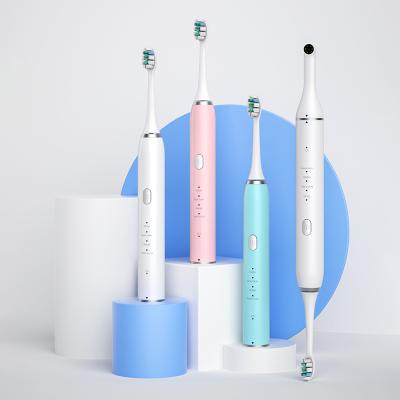 China Visual Rechargeable Waterproof Oral Toothbrush Cleaning Electric Toothbrush DSLO8 for sale