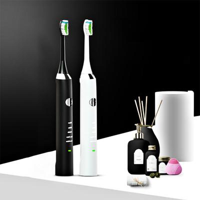 China Dupont stiffens best prices waterproof deep clean multifunctional electric toothbrush with travel replacements 2 head case for sale