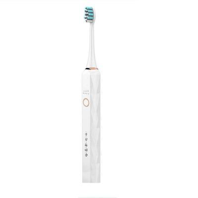 China Dupont stiffens oral ultrasonic teeth cleaner and electric toothbrush set comes with 2 toothbrush heads and 1 cleaning head for sale