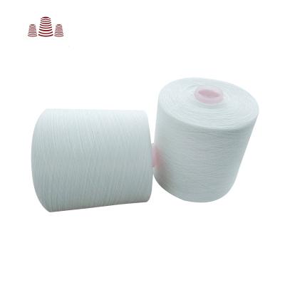 China Anti-Bacteria Wholesale 20/2 100% Ring Spun Polyester Yarn Of Sewing Yarn For Leather for sale