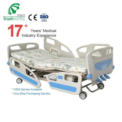 China Teruiwo Comfortable BC463F Directly Supply Electric Hospital Bed For Medical Ward/Hospital Equipment Supplies Patient Bed for sale