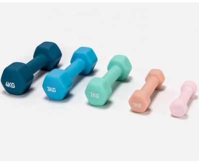 China Durable Fitness Weightlifting Neoprene 1-10kg Standard Home Dumbbell Set Women Use Hex Dumbbells for sale