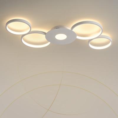 China Outdoor Mounted Decorations For Home Hall Ceiling Light 52W Remote Control Modern Led Ceiling Lights for sale