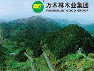 Verified China supplier - Wanmulin Wood Group Co., Ltd. Jianou Fujian