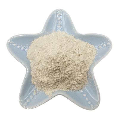 Κίνα Λευκό Χρώμα Chitosan Powder 85% Deacetylation For Polymer Agriculture προς πώληση