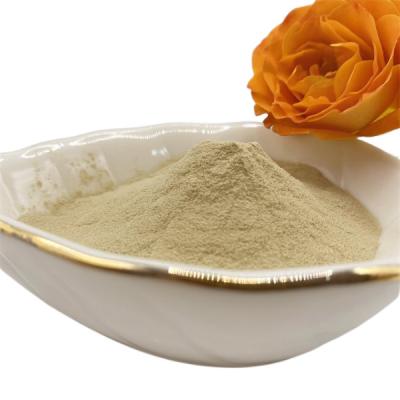 Cina 70%-80% Amino Acid Powder for Boosted Plant Growth in vendita