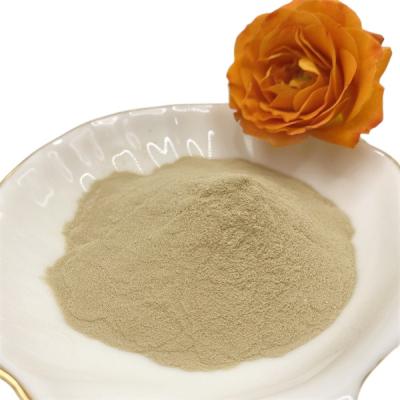 China Amino Acids Powder 13% Nitrogen and Total Water Soluble Plant Growth Enhancer en venta