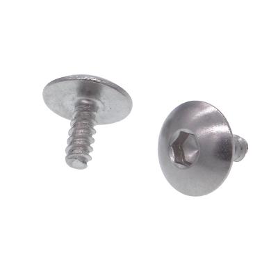 China Stainless Steel Hex Roofing Screw Hex Head Cap Screw For Thermos Cup Handle for sale