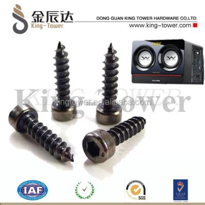 China M2 Hex Socket Cap Stainless Steel Self Tapping Screw Tapping Screw For Speaker for sale