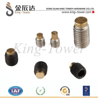 China Hex Socket Brass Tip Brass Thumb Screw Soft Tipped Alloy Set Screw for sale