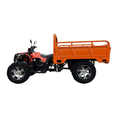 China Wholesale High Quality Atv Farm Utility Vehicle 	Electric Farm ATV SENKI S6-A1 for sale