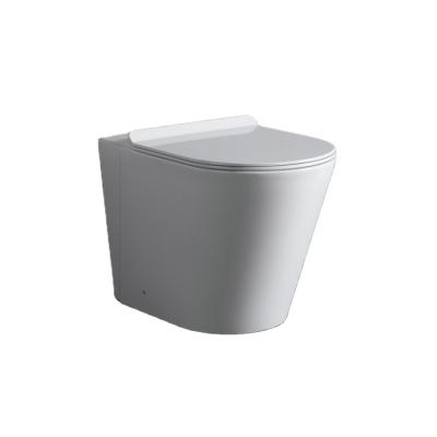 China High Grade Concealed Tank BP1002 European Style Gravity Flushing Ceramic Toilet With Conceal Cistern for sale