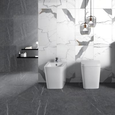 China Double-Flow Modern Design Ceramic Toilet Set WC Floor Floor Toilet With Bidet for sale