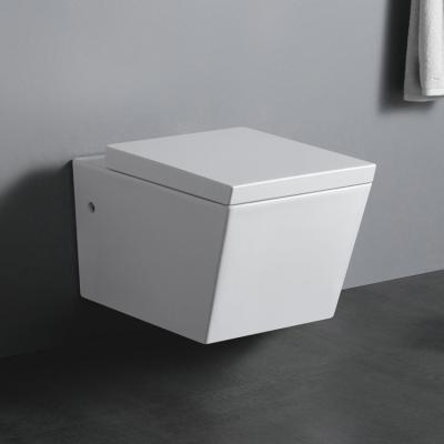 China Custom Logo European Pure White Double-Flow WP1004 Style Wall Hit Ceramic Toilet For Hotel for sale