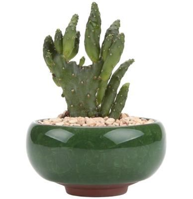 China Mini Flower Pot Cactus Plant Durable Material Ceramic Pots Flower Pots Container Planter For Garden Desktop Decoration for sale