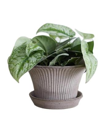 China Flower pot. Custom Succulent Planter Pot Cement Planter Pot with Saucer Modern Stripe Concrete Planter with Handwork Deco Aloe Herb Bonsai Container Line for sale