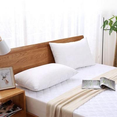 China Non-Toxic 100% Cotton Fabric Zipper Bed Pillowcase Pillow Protector for sale