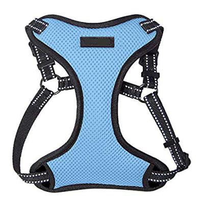 China Thoughtful Step-in Flex Dog Harness All Weather Mesh Step In Adjustable Harness for Small and Medium Dogs by Best Pet Supplies for sale