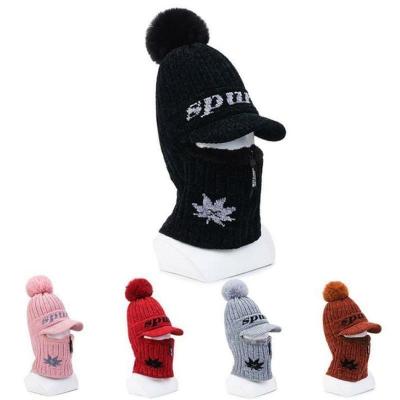 China Custom Character Boost Weight Beanie With Full Brim Winter Hats Face Mask Fleece Neck Warmer Hat With Fleece for sale