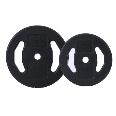 China Beautiful Universal Design Dumbbell Weight Plates Gripping Plate Round Two Hole Weight Plates for sale