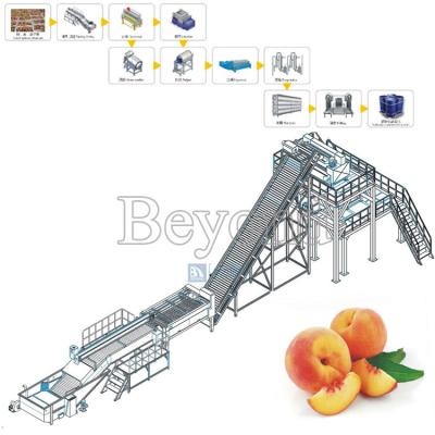 China Easy Operation Fruit Grading Machine Fruit Larger for sale