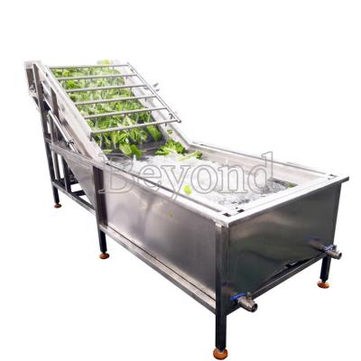 China Industrial Dairy Factory Fruit Washing Machine Bubble Seal Fruit Seal for sale